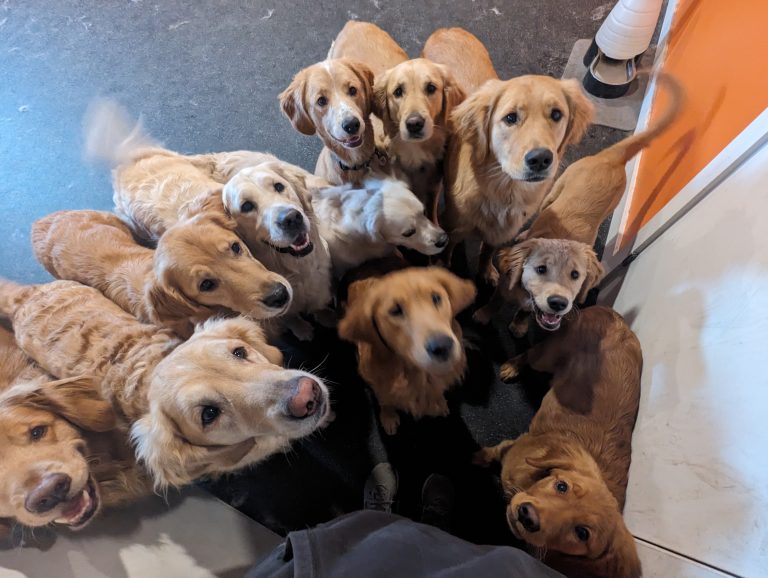 golden group
