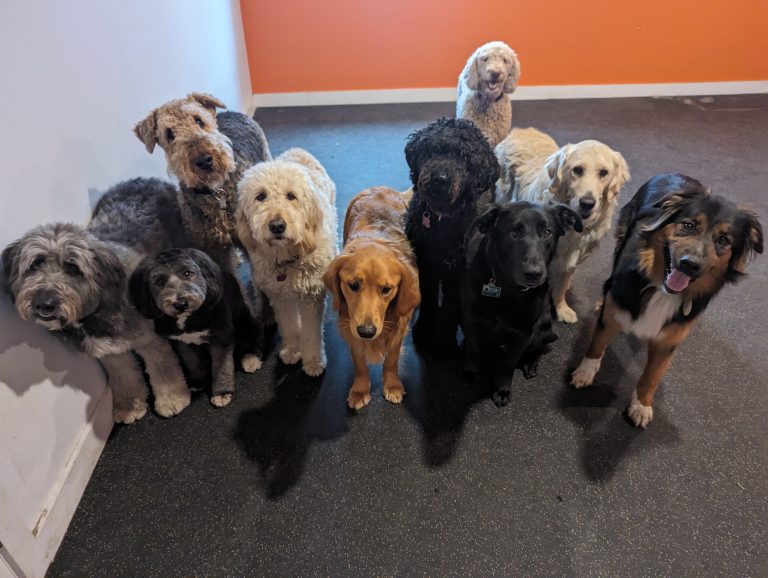 med daycare standing by door